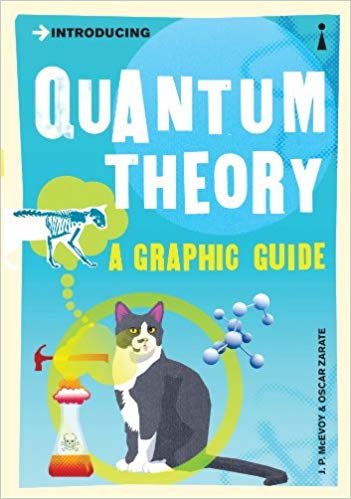 okumak Introducing Quantum Theory: A Graphic Guide