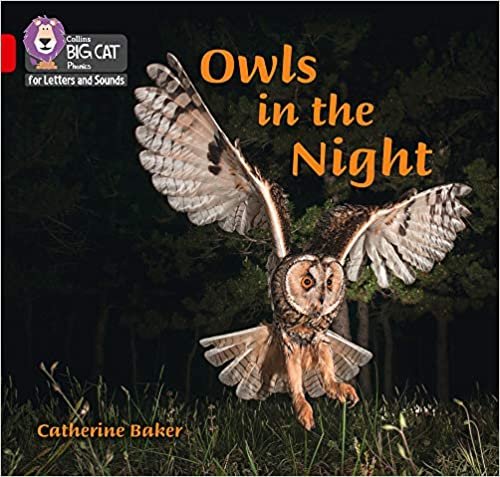 okumak Owls in the Night: Band 02b/Red B (Collins Big Cat Phonics for Letters and Sounds)