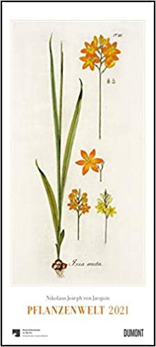okumak Nikolaus Joseph von Jacquin: Pflanzenwelt 2021 ‒ Wandkalender mit botanischen Zeichnungen ‒ Hoch-Format 22 x 49,5 cm