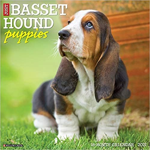 okumak Just Basset Hound Puppies 2021 Calendar
