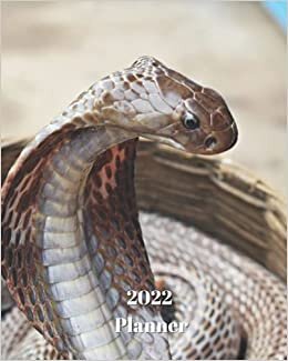 okumak 2022 Planner: Cobra Snake - Monthly Calendar with U.S./UK/ Canadian/Christian/Jewish/Muslim Holidays– Calendar in Review/Notes 8 x 10 in.-Reptile Animals - For Work Business School