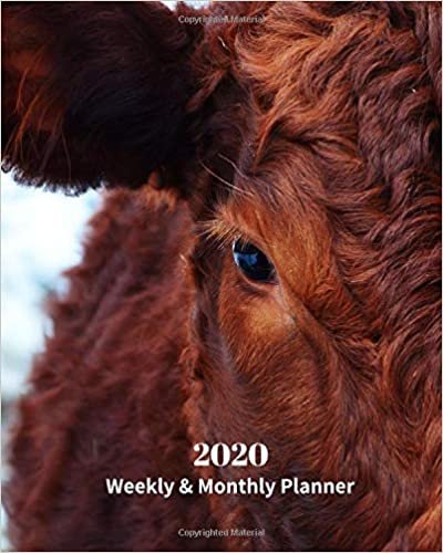 okumak 2020 Weekly and Monthly Planner: Brown Cattle - Monthly Calendar with U.S./UK/ Canadian/Christian/Jewish/Muslim Holidays– Calendar in Review/Notes 8 x 10 in.-Wildlife Ranch Animals Nature