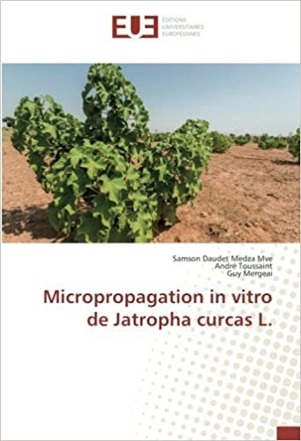 okumak Micropropagation in vitro de Jatropha curcas L. (OMN.UNIV.EUROP.)