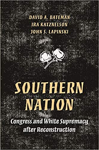 okumak Southern Nation (Princeton Studies in American Politics: Historical, International, and Comparative Perspectives)