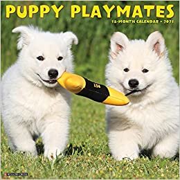 okumak Puppy Playmates 2021 Calendar