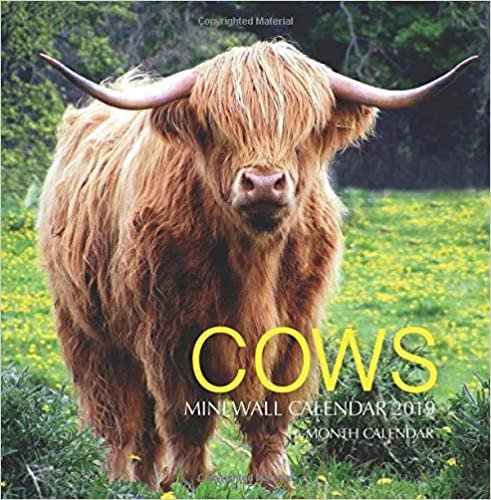okumak Cows Mini Wall Calendar 2019: 16 Month Calendar