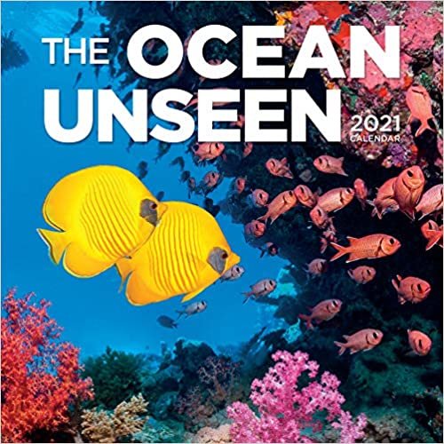 okumak The Ocean Unseen 2021 Calendar