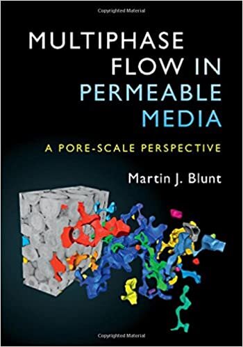 okumak Multiphase Flow in Permeable Media: A Pore-Scale Perspective