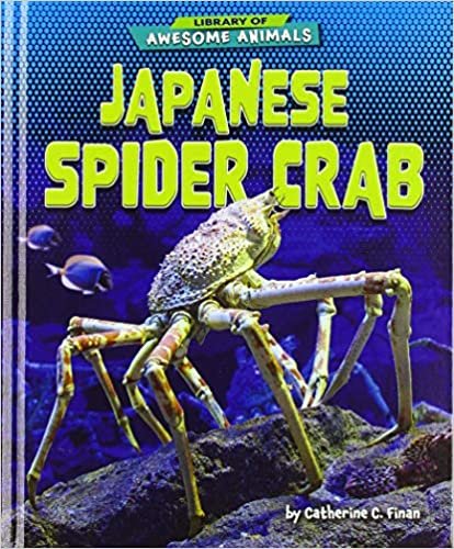 okumak Japanese Spider Crab (Library of Awesome Animals)