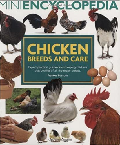 okumak Mini Ansiklopedisi Tavuk Cinsleri ve Bakım Tavukları ve tüm büyük tavuk türlerinin profillerini tutmak konusunda uzman pratik rehberlik