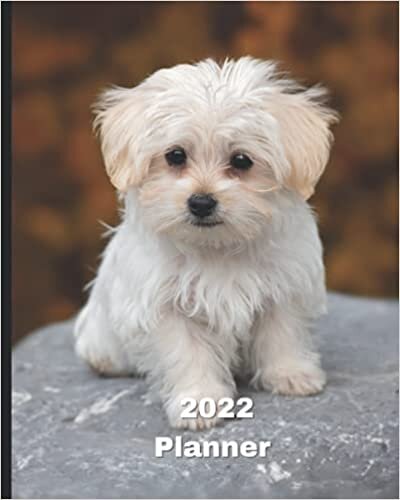 okumak 2022 Planner: Maltese Puppy -12 Month Planner January 2022 to December 2022 Monthly Calendar with U.S./UK/ Canadian/Christian/Jewish/Muslim Holidays– ... in Review/Notes 8 x 10 in.- Dog Breed Pets