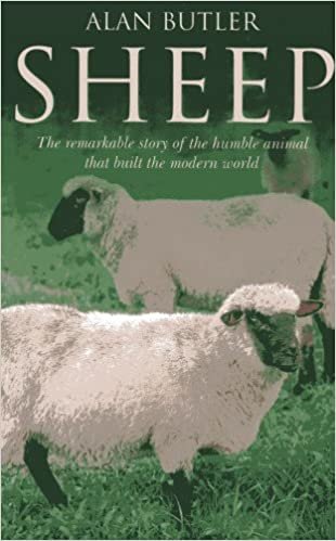 okumak Sheep: The Remarkable Story of the Humble Animal That Built the Modern World