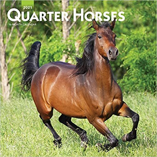 okumak Quarter Horses 2021 - 16-Monatskalender: Original BrownTrout-Kalender [Mehrsprachig] [Kalender] (Wall-Kalender)