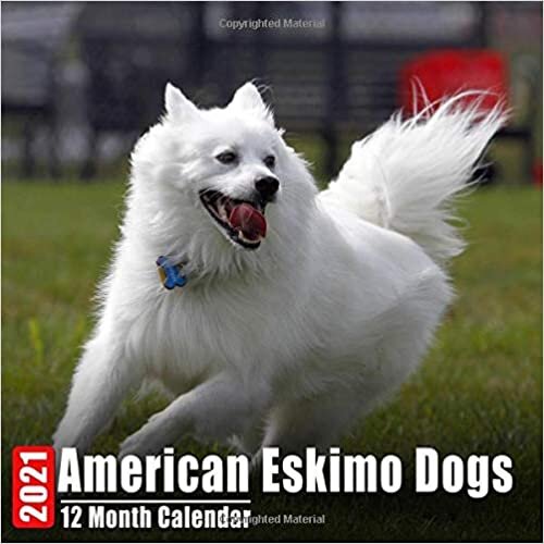 okumak Mini Calendar 2021 American Eskimo Dogs: Cute American Eskimo Dog Photos Monthly Small Calendar With Inspirational Quotes each Month