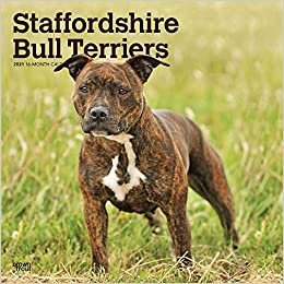 okumak Staffordshire Bull Terriers - Staffordshire Bull Terrier 2021 - 16-Monatskalender mit freier DogDays-App: Original BrownTrout-Kalender [Mehrsprachig] [Kalender] (Wall-Kalender)