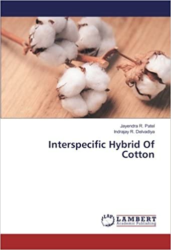 okumak Interspecific Hybrid Of Cotton