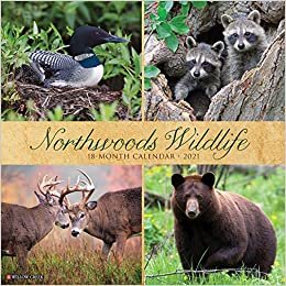 okumak Northwoods Wildlife 2021 Calendar