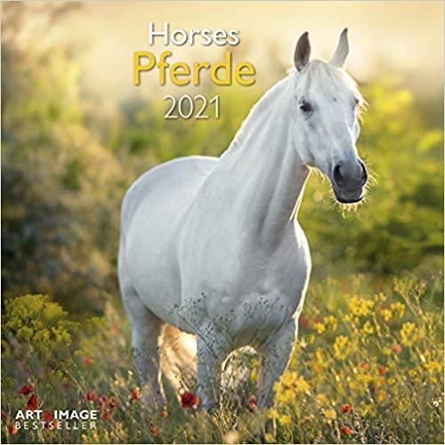 okumak Pferde 2021 - Wand-Kalender - Broschüren-Kalender - A&amp;I - 30x30 - 30x60 geöffnet - Tier-Kalender: Horses