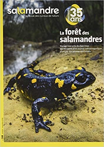 okumak N°248 La salamandre