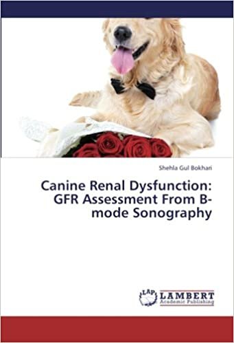 okumak Canine Renal Dysfunction: GFR Assessment From B-mode Sonography