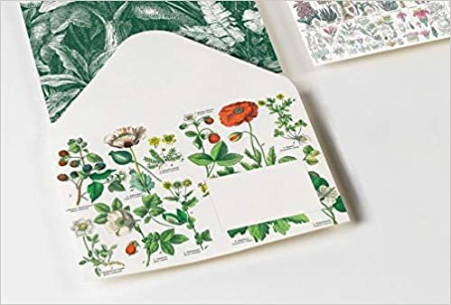 okumak Botanical: Envelope Set (C6): 20 C6 Envelopes (Set)