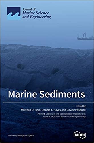 okumak Marine Sediments: Processes, Transport and Environmental Aspects