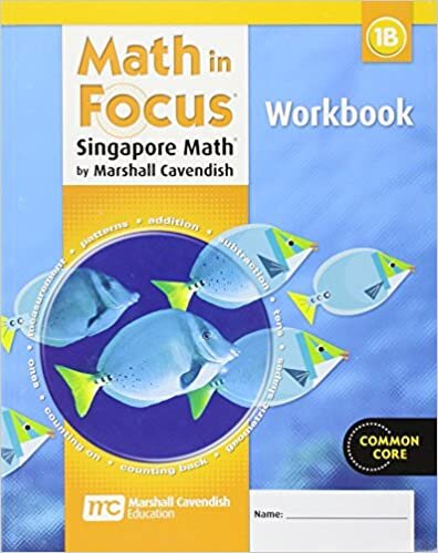 okumak Ambulatory Care Systems: Evaluation of Outpatient Facilities v. 3 (Math in Focus: Singapore Math)