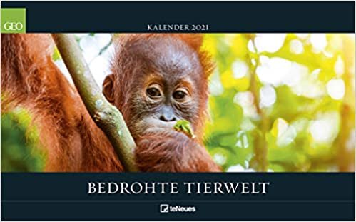 okumak GEO Bedrohte Tierwelt 2021 - Wand-Kalender - Tier-Kalender - Poster-Kalender - 58x36