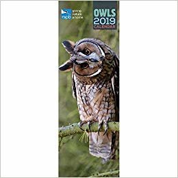 okumak RSPB Owls S 2019