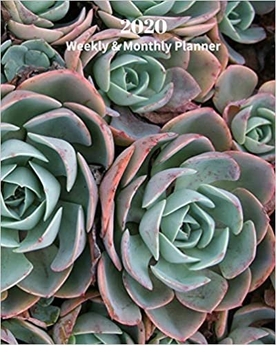 okumak 2020 Weekly and Monthly Planner: Succulent plants - Monthly Calendar with U.S./UK/ Canadian/Christian/Jewish/Muslim Holidays– Calendar in Review/Notes 8 x 10 in.-House plants Garden Indoor