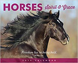 okumak Horses, Spirit &amp; Grace B 2019