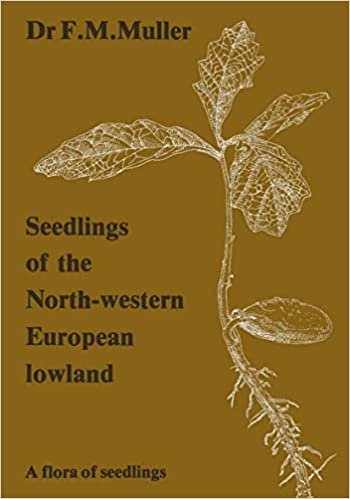 okumak Seedlings of the North-Western European Lowland