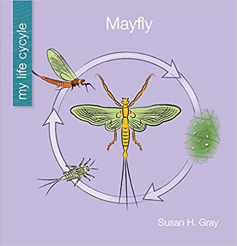 okumak Mayfly (My Early Library: My Life Cycle)