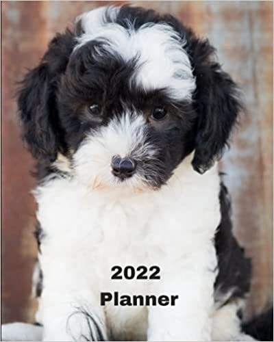 okumak 2022 Planner: Sheepadoodle Puppy -12 Month Planner January 2021 to December 2022 Monthly Calendar with U.S./UK/ Canadian/Christian/Jewish/Muslim ... in Review/Notes 8 x 10 in.- Dog Breed Pets