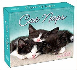 okumak Cat Naps B 2019