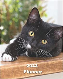 okumak 2022 Planner: Black Kitten - 12 Month Weekly and Monthly Planner January 2022 to December 2022 -Monthly Calendar with U.S./UK/ ... 8 x 10 in.- Cats Breed Pets Kittens