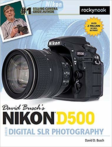 okumak David Busch s Nikon D500 Guide to Digital Photography