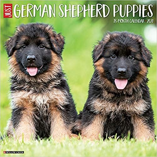 okumak Just German Shepherd Puppies 2021 Calendar