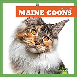 okumak Maine Coons (Cat Club)