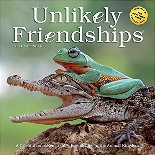 okumak Unlikely Friendships 2021 Calendar