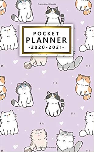 okumak Pocket Planner 2020-2021: Cute Curious Cat 2 Year Calendar &amp; Agenda with Monthly Spread View - Two Year Organizer with Inspirational Quotes, U.S. Holidays, Vision Board &amp; Notes - Nifty Cartoon Cover