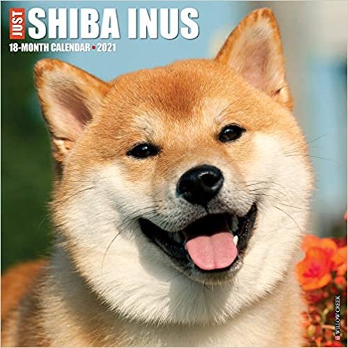 okumak Shiba Inus 2021 Calendar