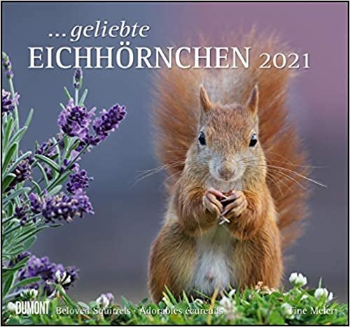 okumak ... geliebte Eichhörnchen 2021 - DUMONT Wandkalender - mit den wichtigsten Feiertagen - Format 38,0 x 35,5 cm