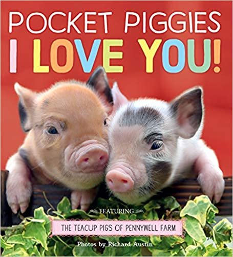 okumak Pocket Piggies: I Love You!