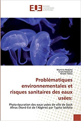 okumak Problématiques environnementales et risques sanitaires des eaux usées:: Phyto-épuration des eaux usées de ville de Souk Ahras (Nord-Est de l’Algérie) par Typha latifolia