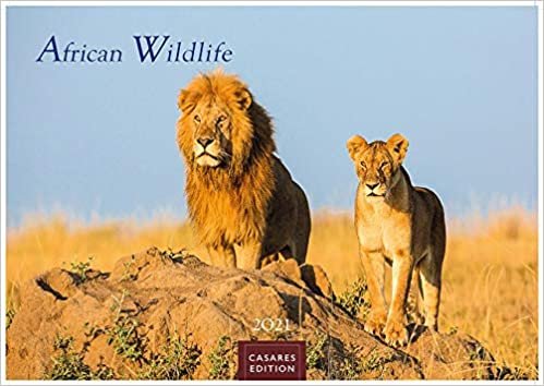 okumak African Wildlife 2021 L 50x35cm