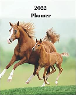 okumak 2022 Planner: Horse and Foal - Monthly Calendar with U.S./UK/ Canadian/Christian/Jewish/Muslim Holidays– Calendar in Review/Notes 8 x 10 in.- Animal Nature Wildlife