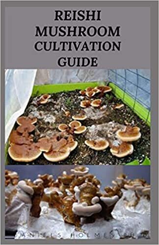 okumak REISHI MUSHROOM CULTIVATION GUIDE: Stey By Step Guide To Growing Your Reishi Mushroom Indoor And Outdoor