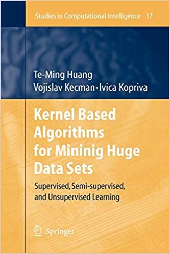 okumak Kernel Based Algorithms for Mininig Huge Data Sets: Supervised, Semi-supervised, and Unsupervised Learning (Studies in Computational Intelligence)