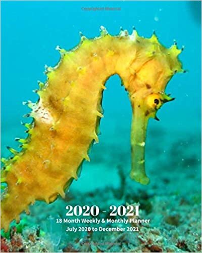 okumak 2020 - 2021 | 18 Month Weekly &amp; Monthly Planner July 2020 to December 2021: Seahorse Marine LifeMonthly Calendar with U.S./UK/ ... in.- Economics Office Equipment &amp; Supplies